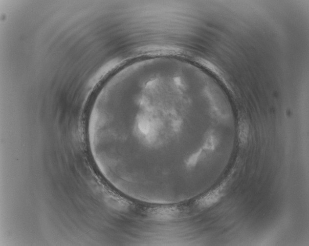 X0000068771074200605262200