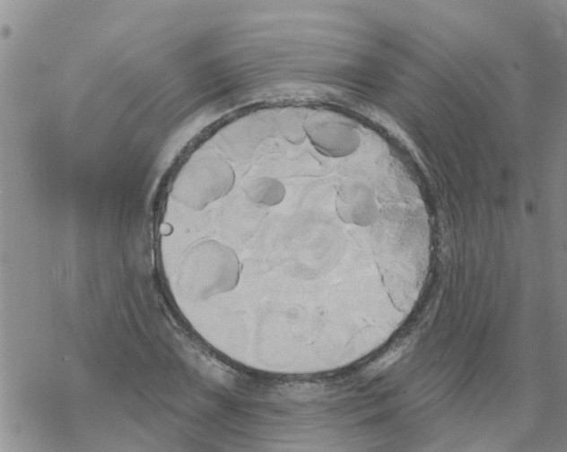 X0000068771075200605262200