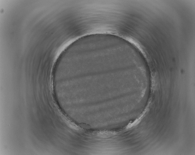 X0000068771077200605262200