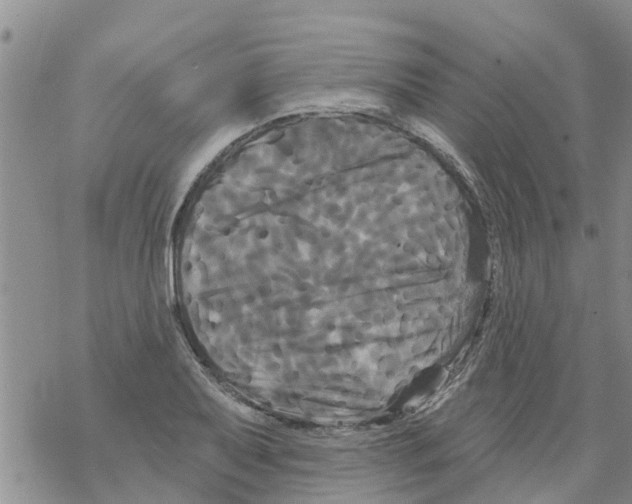 X0000068771079200605262200