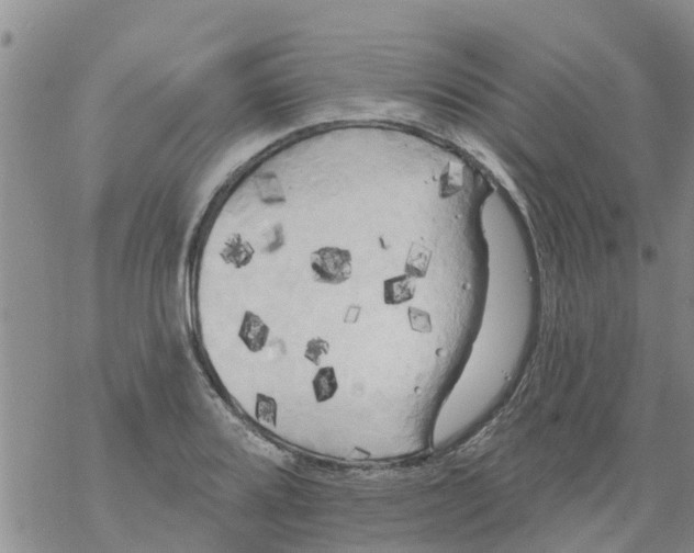 X0000068771080200605262200