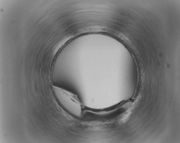 X0000068771081200605262200