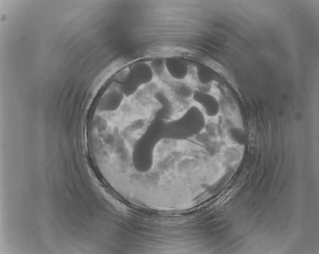 X0000068771083200605262200