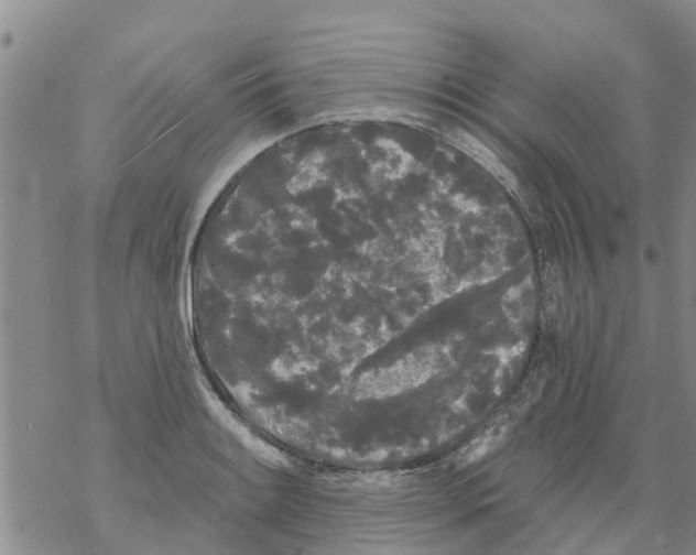 X0000068771084200605262200