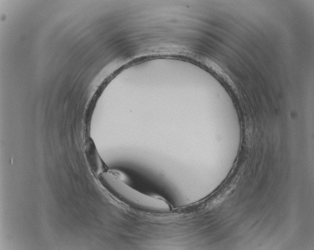 X0000068771085200605262200