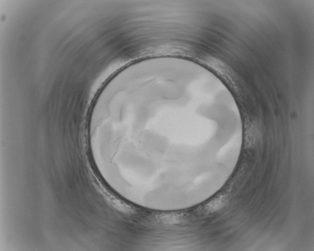 X0000068771086200605262200