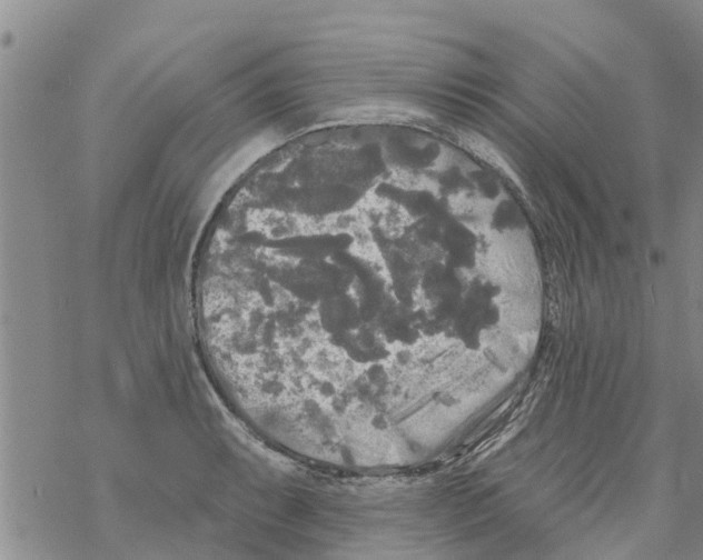 X0000068771087200605262200