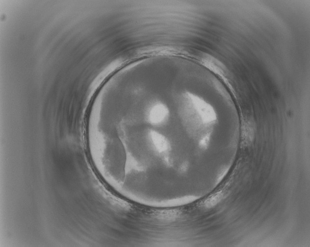 X0000068771090200605262200