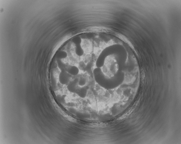 X0000068771091200605262200