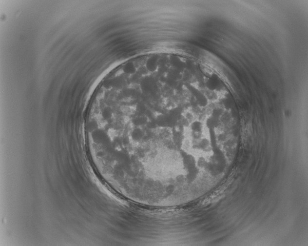 X0000068771092200605262200