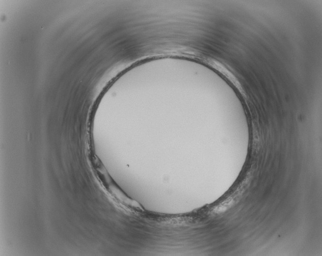 X0000068771093200605262200