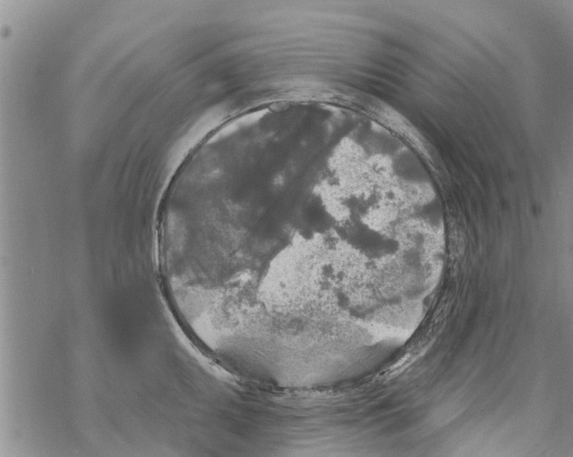 X0000068771095200605262200