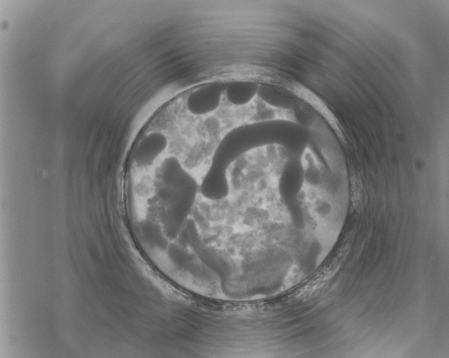 X0000068771099200605262200