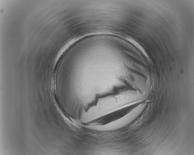 X0000068771101200605262200