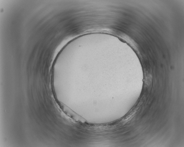 X0000068771102200605262200