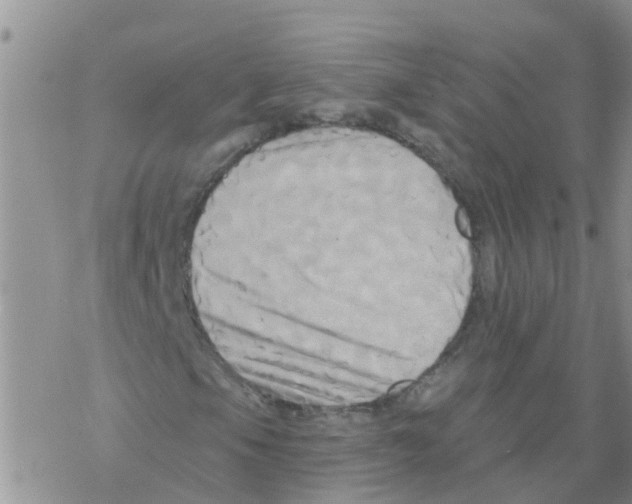 X0000068771105200605262159