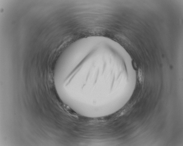 X0000068771107200605262159