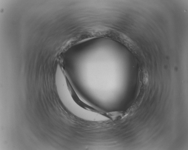 X0000068771108200605262159