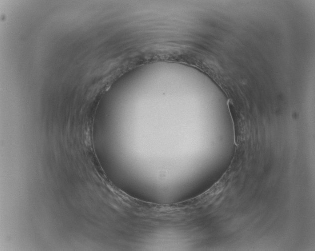 X0000068771109200605262159