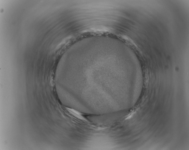 X0000068771110200605262159