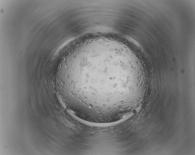 X0000068771112200605262159