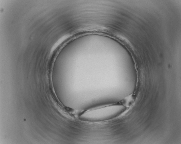 X0000068771114200605262159