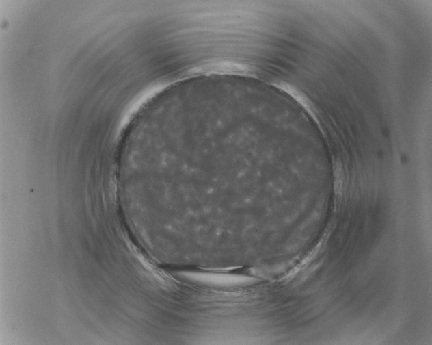 X0000068771115200605262159