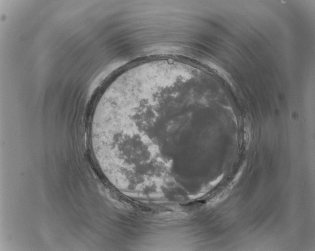 X0000068771117200605262159