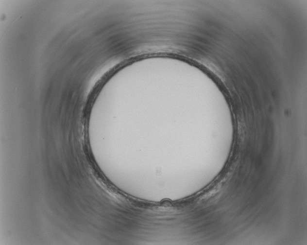 X0000068771119200605262159