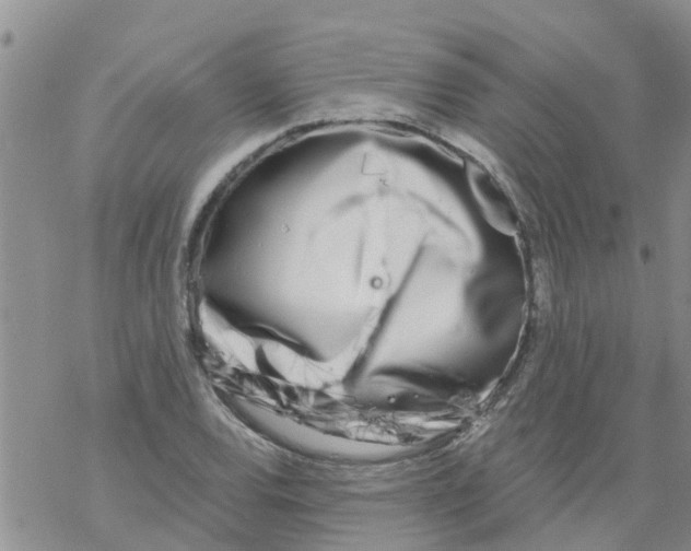 X0000068771120200605262159