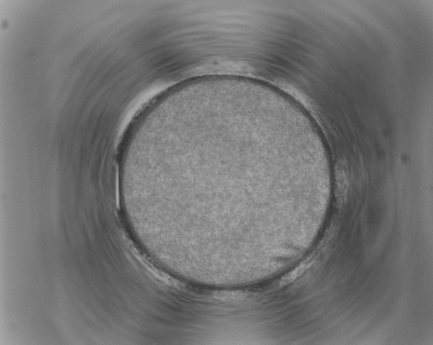 X0000068771123200605262159