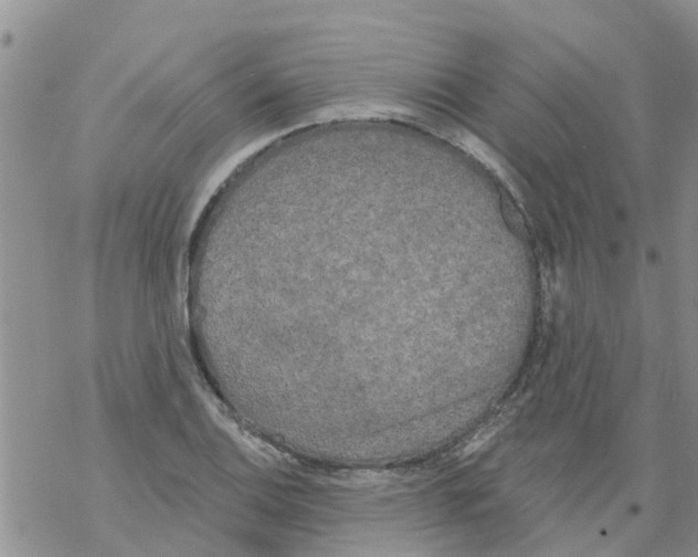 X0000068771124200605262159