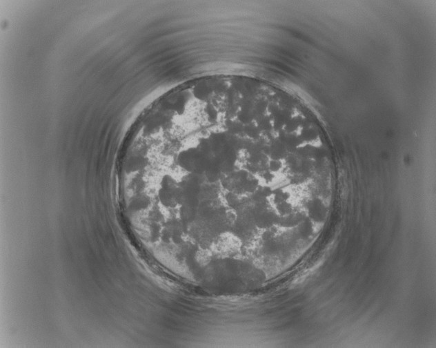 X0000068771125200605262159