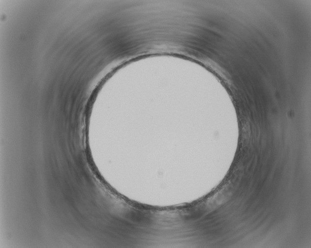 X0000068771126200605262159