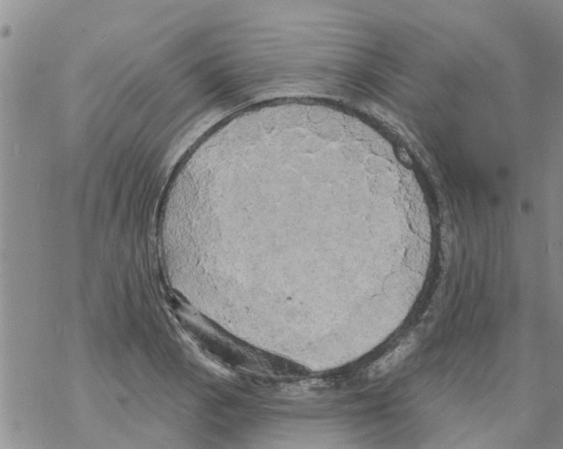 X0000068771129200605262159