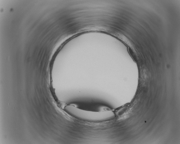 X0000068771132200605262159