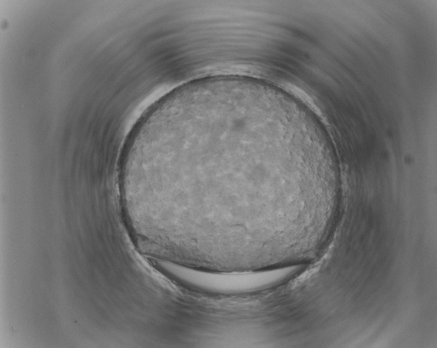 X0000068771133200605262159