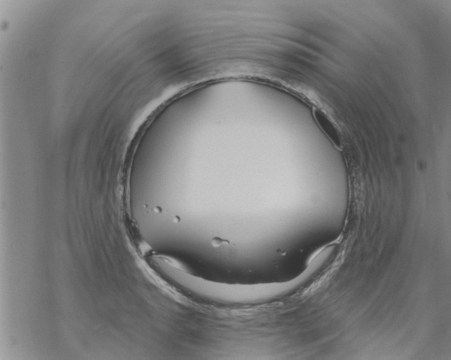 X0000068771134200605262159