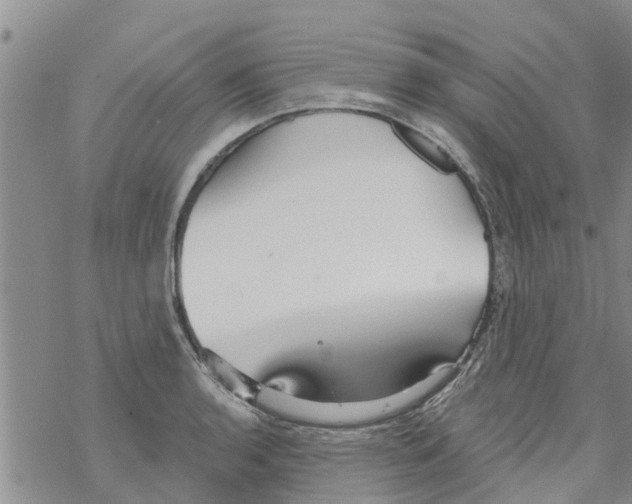 X0000068771136200605262159