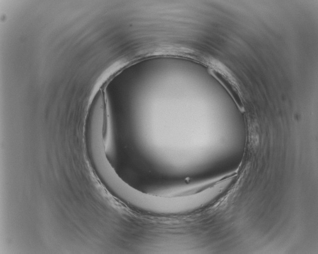 X0000068771138200605262159