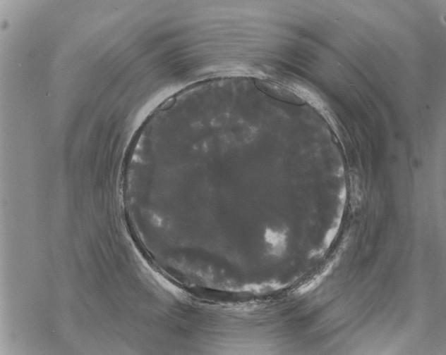 X0000068771141200605262200