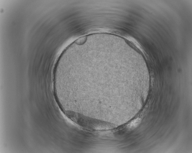 X0000068771143200605262200