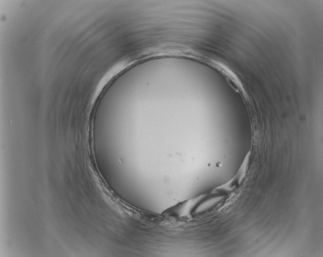 X0000068771146200605262200