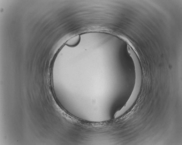 X0000068771147200605262200