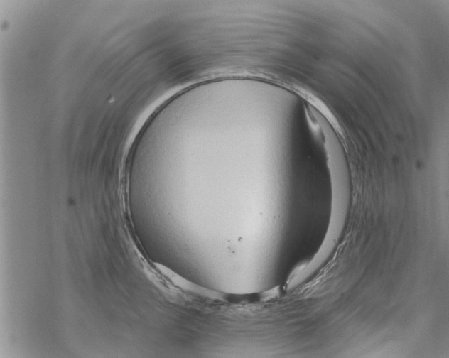 X0000068771148200605262200