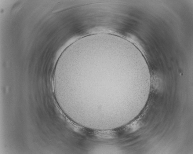 X0000068771150200605262200