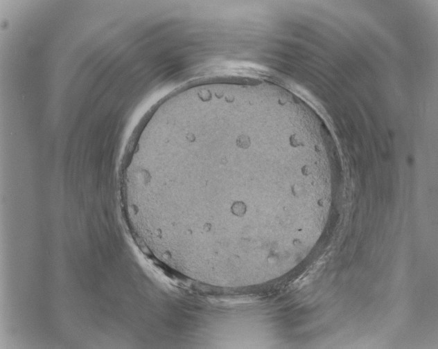 X0000068771152200605262200