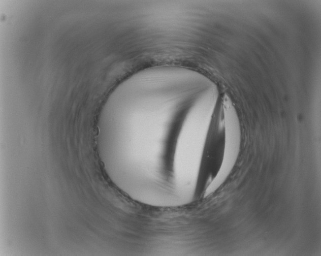 X0000068771153200605262159