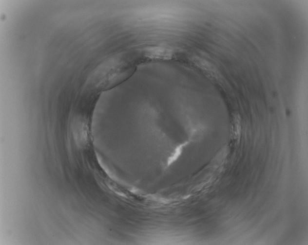 X0000068771154200605262159