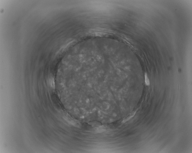 X0000068771155200605262159